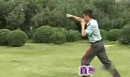 擒敌拳十六动教学视频,动作要领与实战技巧解析